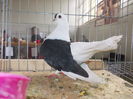 DSCN0152