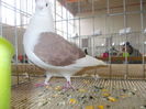 DSCN0162
