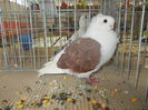DSCN0163