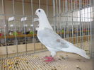 DSCN0165