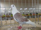 DSCN0166