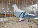 DSCN0168