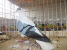 DSCN0170