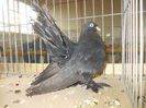 DSCN0174