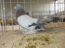 DSCN0182