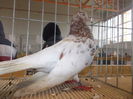 DSCN0184