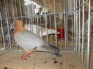 DSCN0198