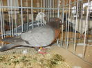 DSCN0199