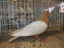 DSCN0203