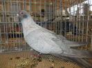 DSCN0204