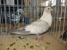 DSCN0206