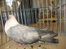 DSCN0207