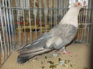 DSCN0208