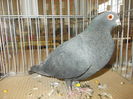 DSCN0209