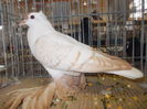 DSCN0219