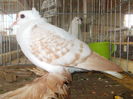 DSCN0220