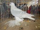 DSCN0221