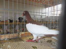 DSCN0225
