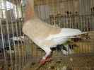DSCN0226