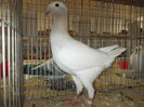 DSCN0227