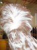 DSCN0234