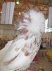 DSCN0235