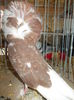 DSCN0238