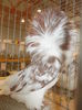 DSCN0267