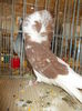 DSCN0270