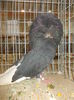DSCN0273