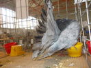 DSCN0277