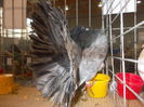 DSCN0279