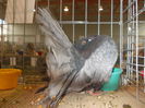 DSCN0280