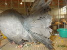 DSCN0282