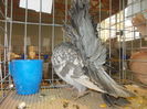 DSCN0283