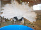 DSCN0285
