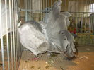 DSCN0287