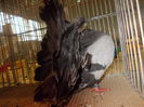 DSCN0289