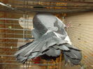 DSCN0290