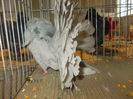 DSCN0292