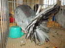 DSCN0293