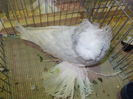 DSCN0315