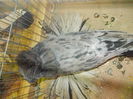 DSCN0317
