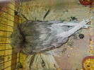 DSCN0319