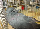 DSCN0320