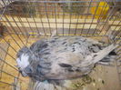 DSCN0321