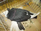 DSCN0326