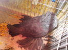 DSCN0327