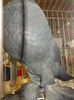 DSCN0336