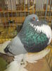 DSCN0339